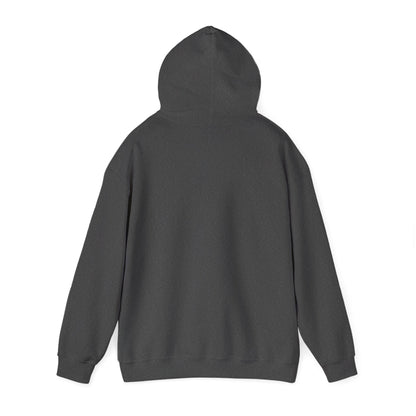 When We Recover Loudly We Keep Others From Dying Quietly Hoodie